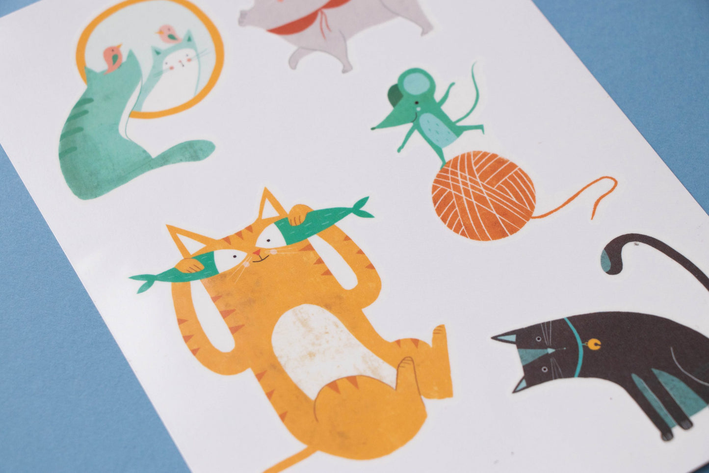 تاتو للاطفال قطط