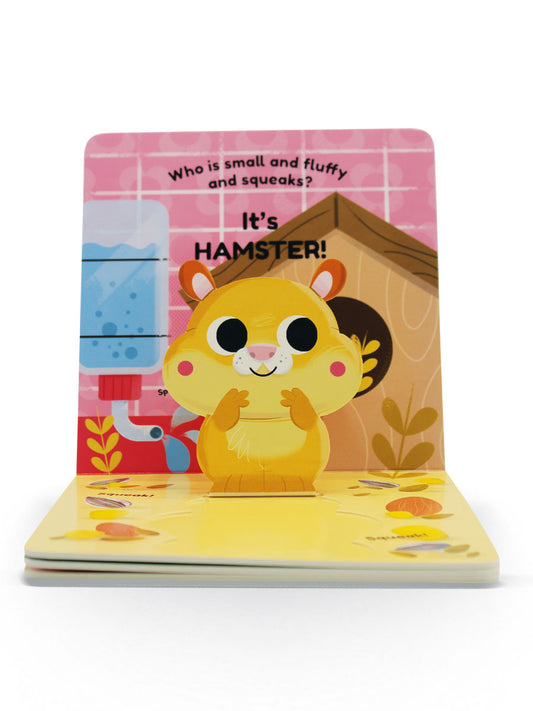 Pop Ups – Playing With Pets